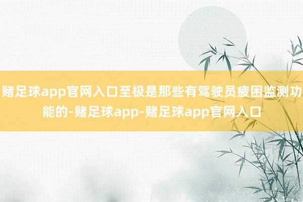 赌足球app官网入口至极是那些有驾驶员疲困监测功能的-赌足球app-赌足球app官网入口