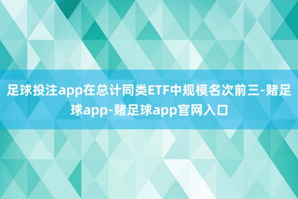 足球投注app在总计同类ETF中规模名次前三-赌足球app-赌足球app官网入口