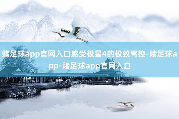 赌足球app官网入口感受极星4的极致驾控-赌足球app-赌足球app官网入口